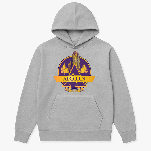 Grey hoodie